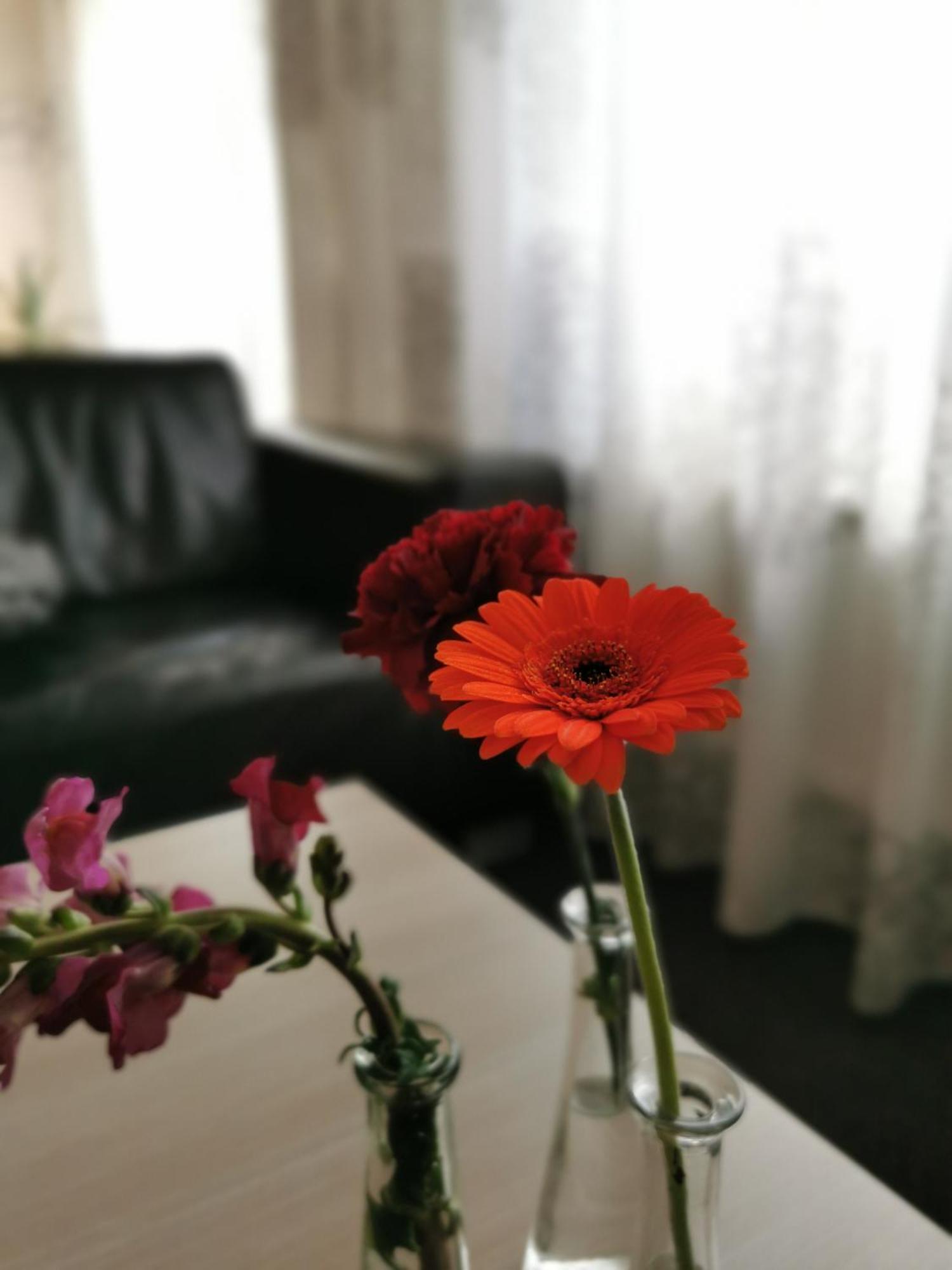 Housing De Brouwerij Bed & Breakfast Westdorpe Cameră foto